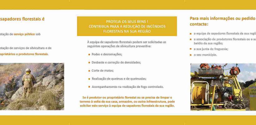 Archived: (Português) Teste Daniel