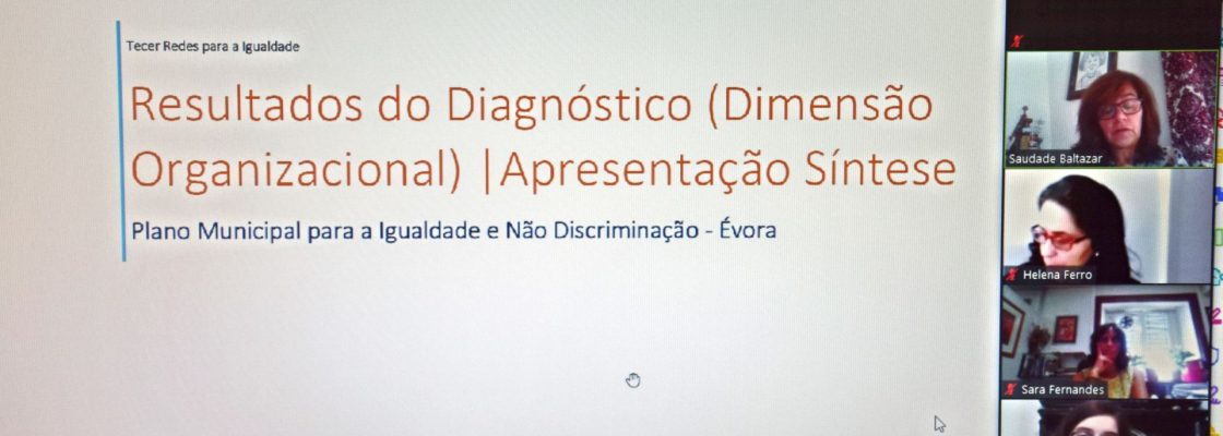 Apresentação dos resultados do Diagnóstico da (Des)Igualdade e Não Discriminação do Concelh...