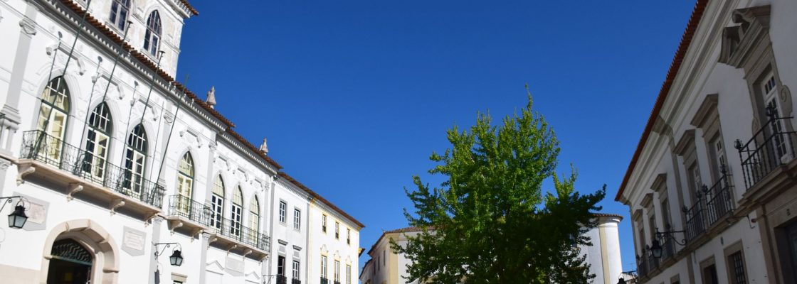 (Português) Principais assuntos tratados na reunião pública de Câmara de 1 de Junho