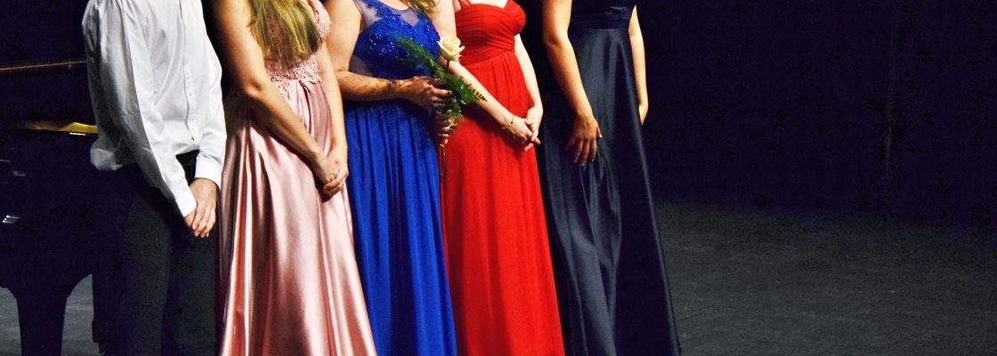 Concerto do concurso para Jovens Intérpretes decorreu no Teatro Garcia de Resende