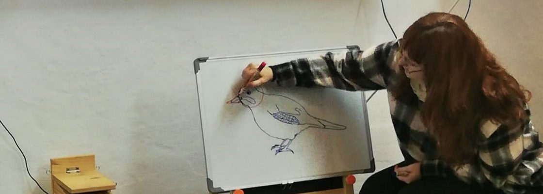(Português) Crianças descobrem a ciência através da arte no Alto de S. Bento
