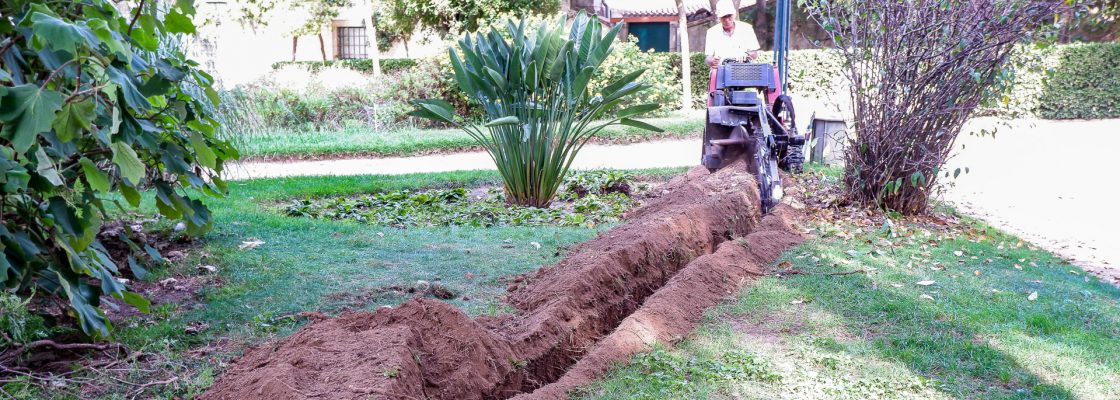 JARDIM PÚBLICO DE ÉVORA VAI TER REDE DE REGA AUTOMÁTICA