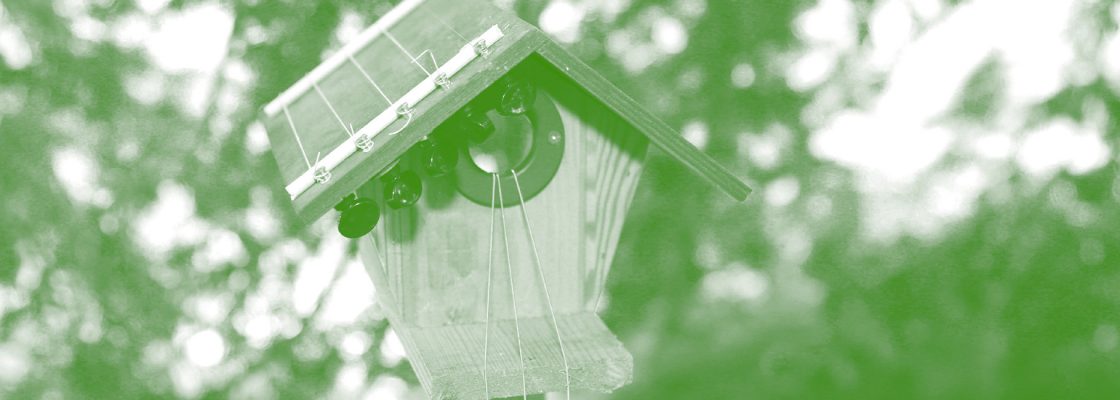 Arquivado: CONCERTO PARA OUVIDOS ATENTOS | Canto dos Pássaros