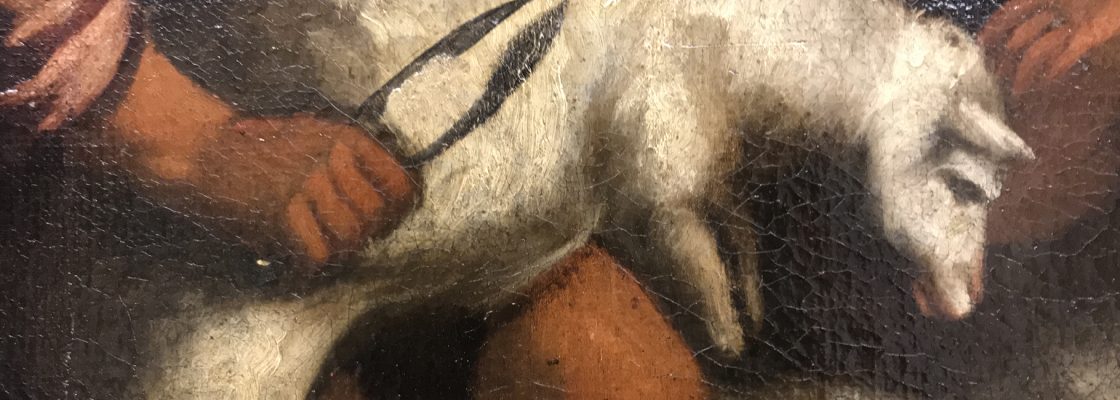 Archived: Ciclo “A agulha e o dedal” | Uma viagem através da lã