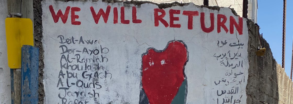 Archived: DESVER, de Joana Craveiro | uma breve performance sobre um país ocupado por outro