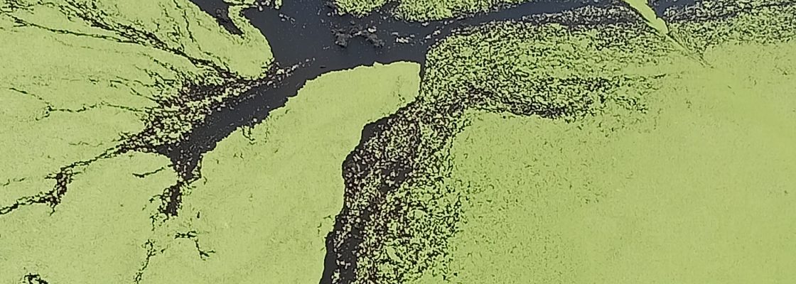 Archived: Mar Dentro, de/com Eugénio Ravo | Homenagem a Pier Paolo Pasolini