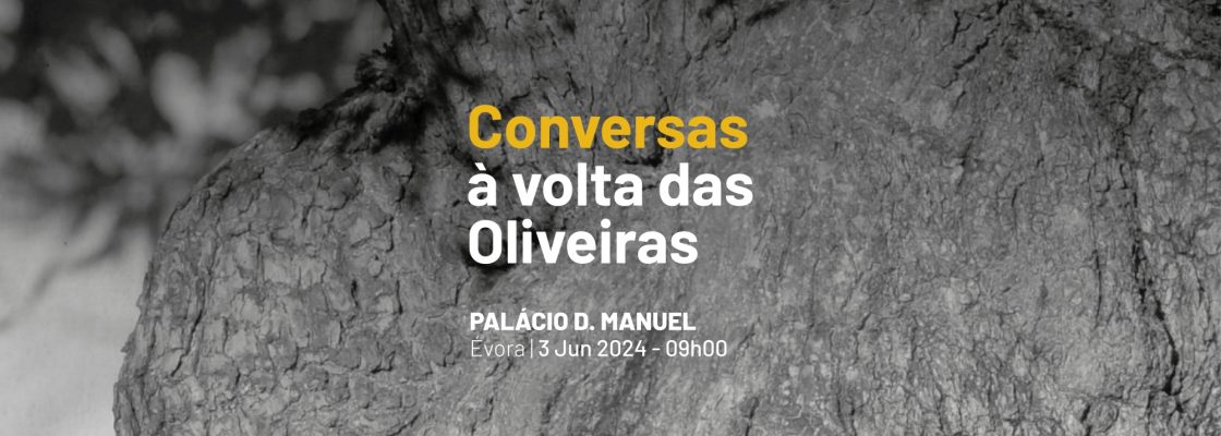 Arquivado: Conversas à volta das Oliveiras