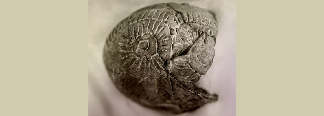 Archived: Oficina de Cerâmica Manual | Jornadas Europeias da Arqueologia