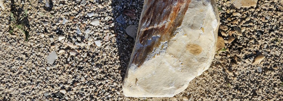 Arquivado: “As pedras contam” | Oficina com o geólogo Noel Moreira