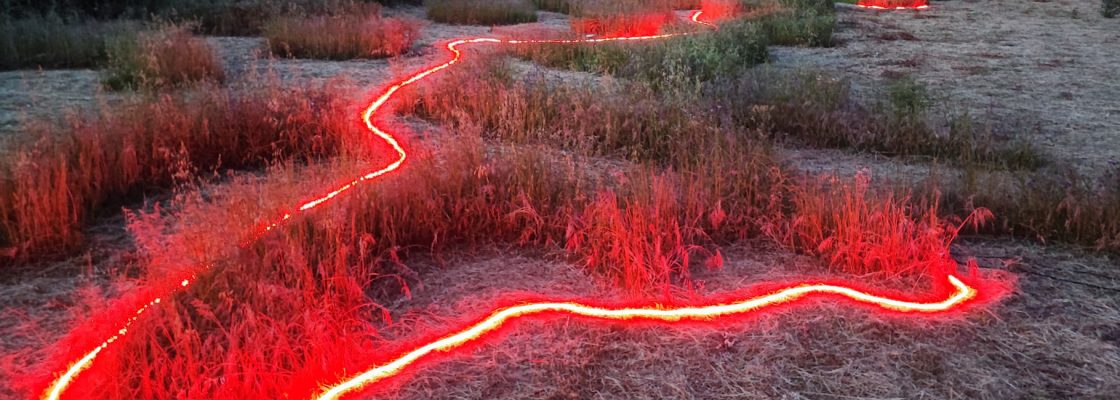 Archived: Circunscrito Instalação de Gabriel Seixas | Apresentação pública