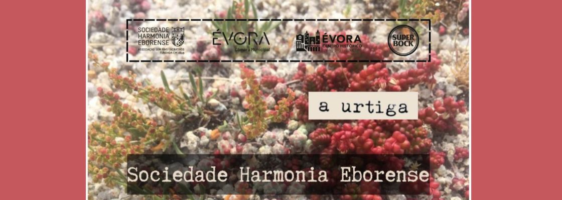 Archived: a urtiga /\ SHE