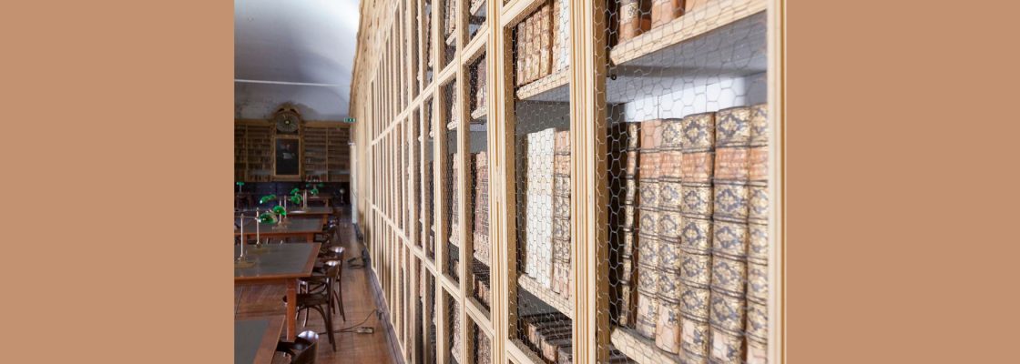 Archived: Conferência / Aula Aberta com a Professora Doutora Marta Lourenço, Diretora do Museu ...