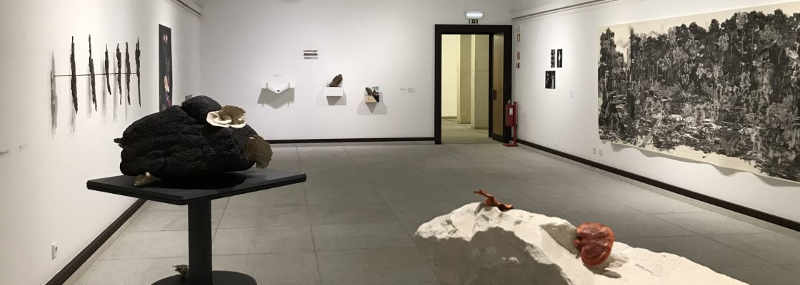 Arquivado: Mesa-redonda «Alterações Climáticas: FLORESTA e ARTE»