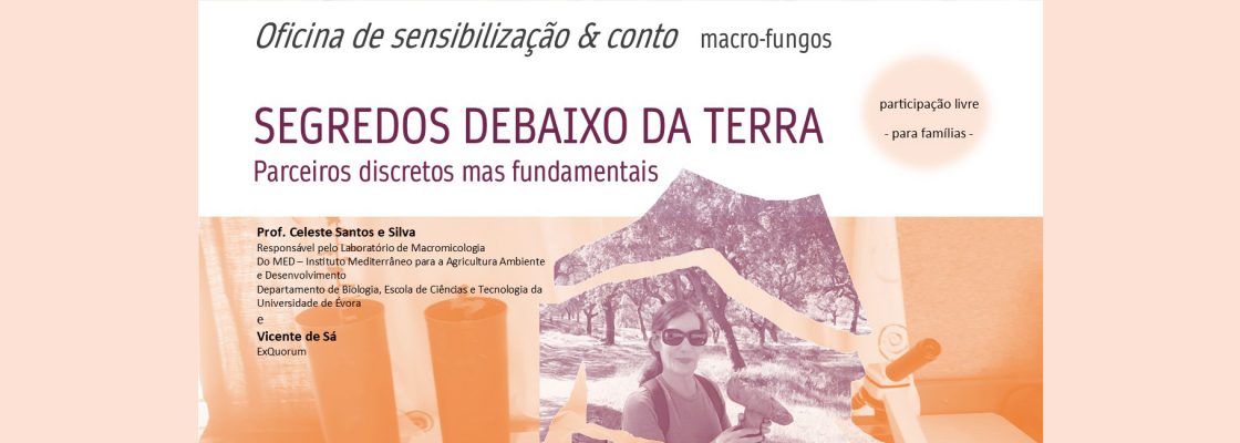 Archived: SEGREDOS DEBAIXO DA TERRA, parceiros discretos mas fundamentais | Oficina de sensibiliz...