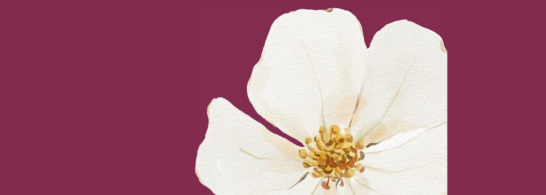 Archived: MENOPAUSA – Literacia em Saúde | Armazém 8  – Ciclo “É Por Elas...