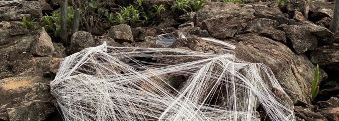 Archived: Casa sem Telhado | Sessão com Edith Derdyk