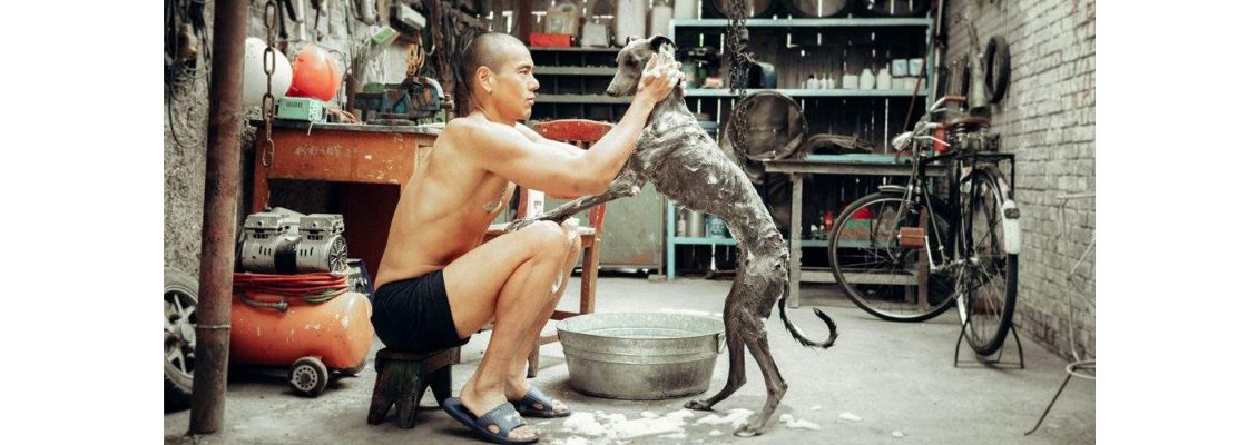 Arquivado: CÃO PRETO, um filme Guan Hu