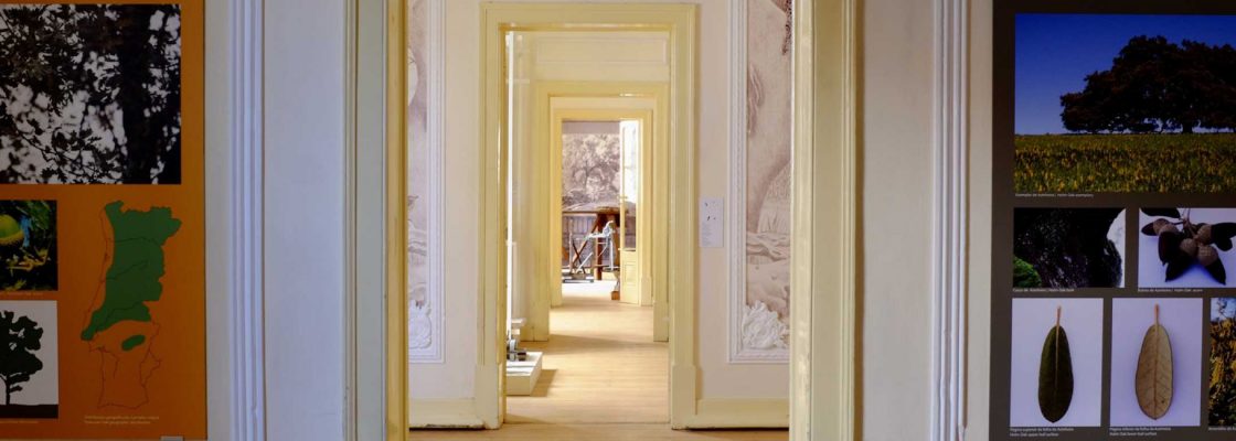 Archived: Workshop Respiração Funcional Consciente