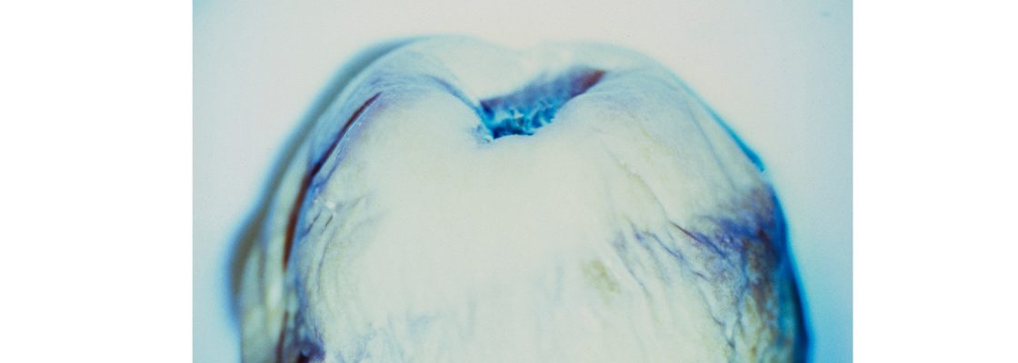 Arquivado: OFICINA DE FOTOGRAFIA, com o artista David Infante